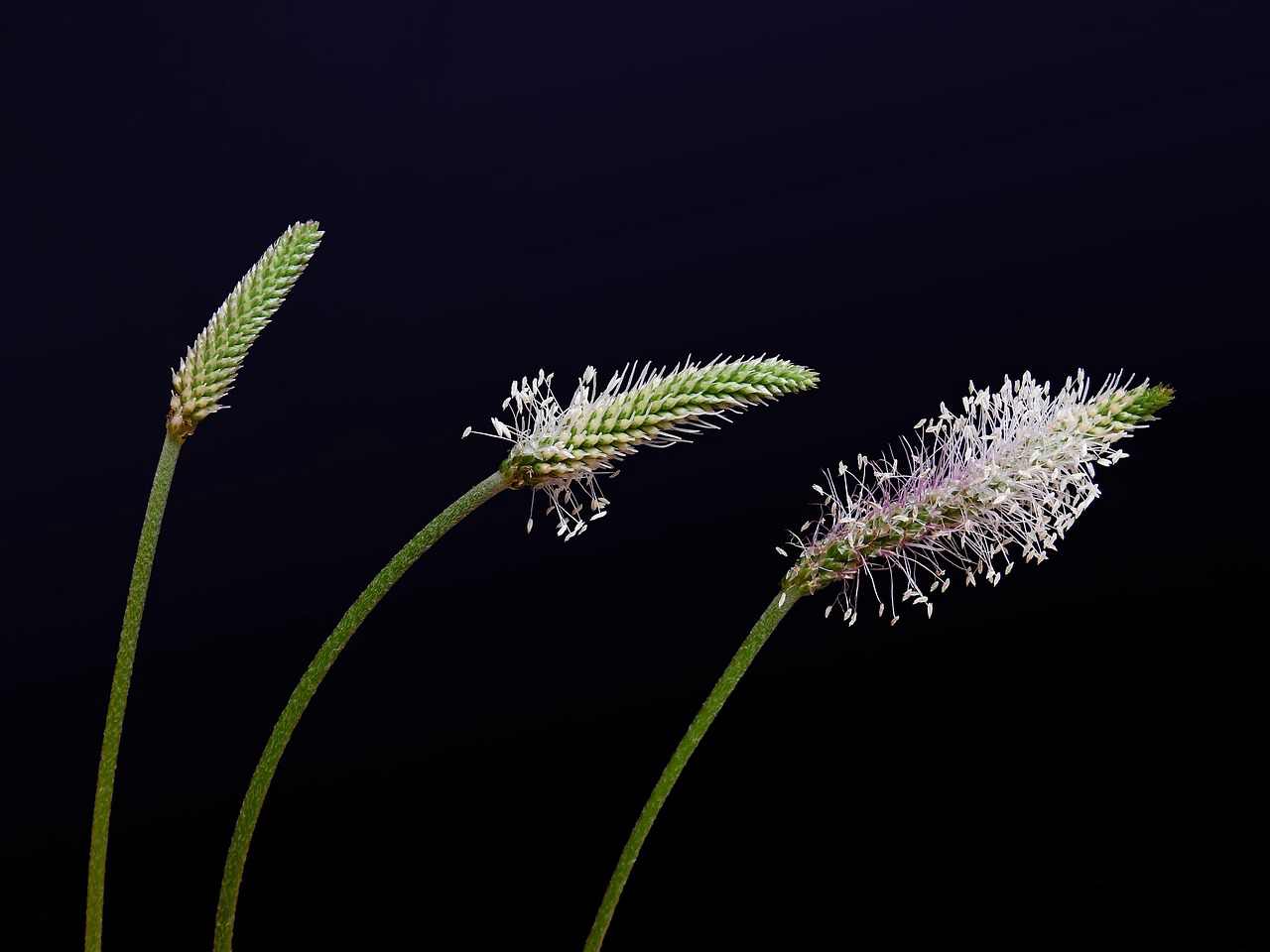 WP_20140626_004